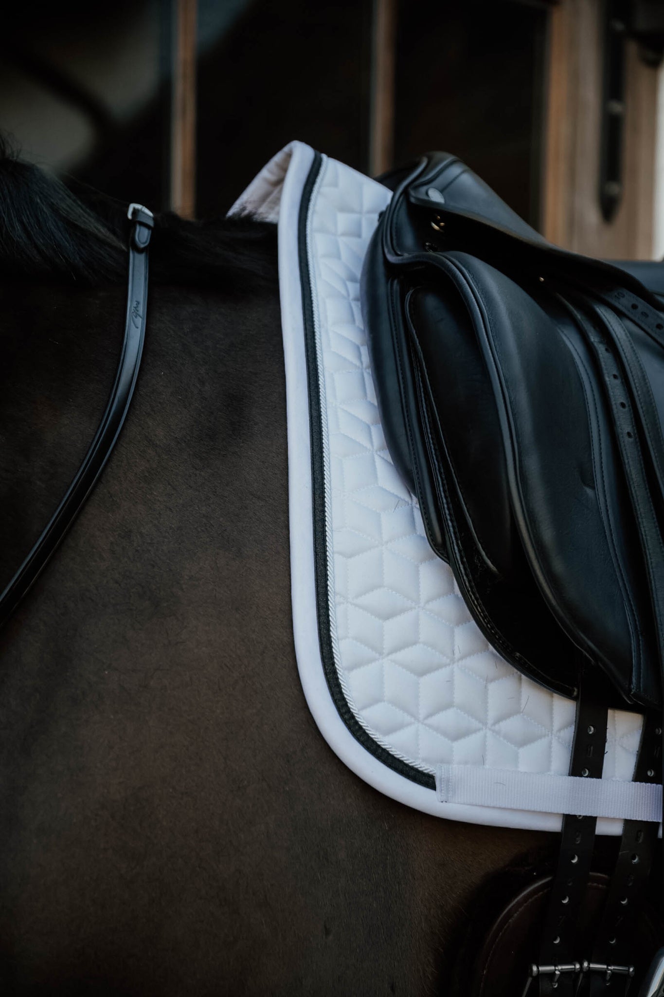 Kentucky Horsewear Dressurunderlag Glitter Rope