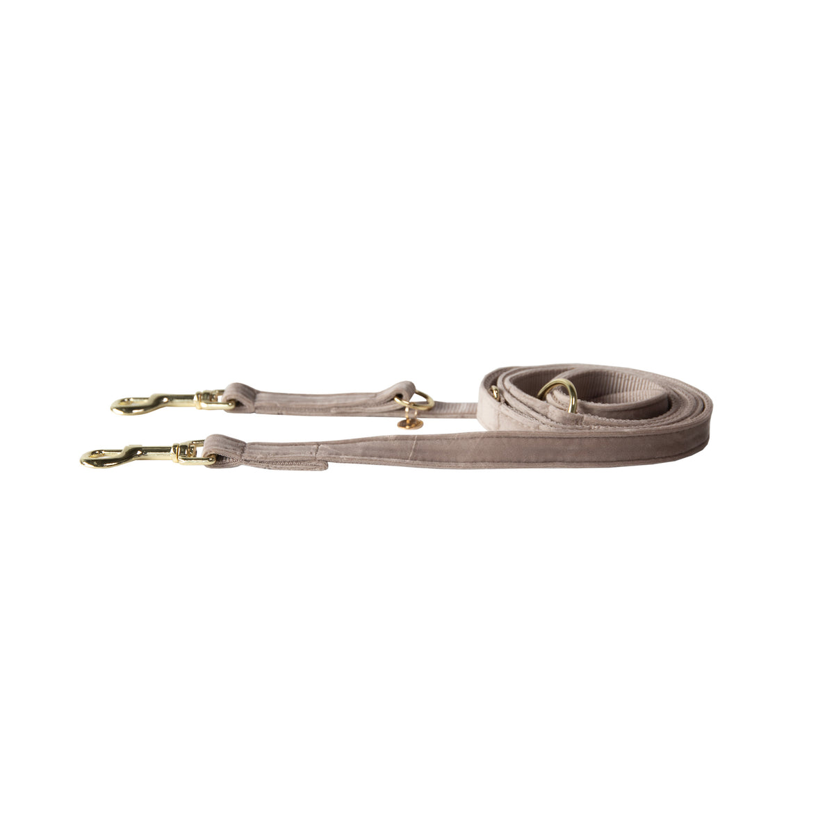 Kentucky Dog Lead Velvet Small