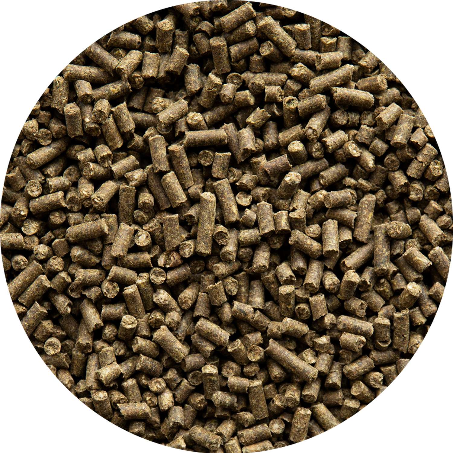 Aveve Performance Pellets - Bestillingsvare
