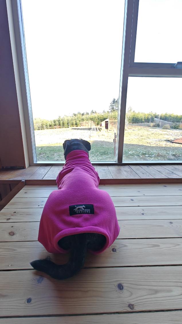 Euro Dog Designs Ohio Fleece Suit