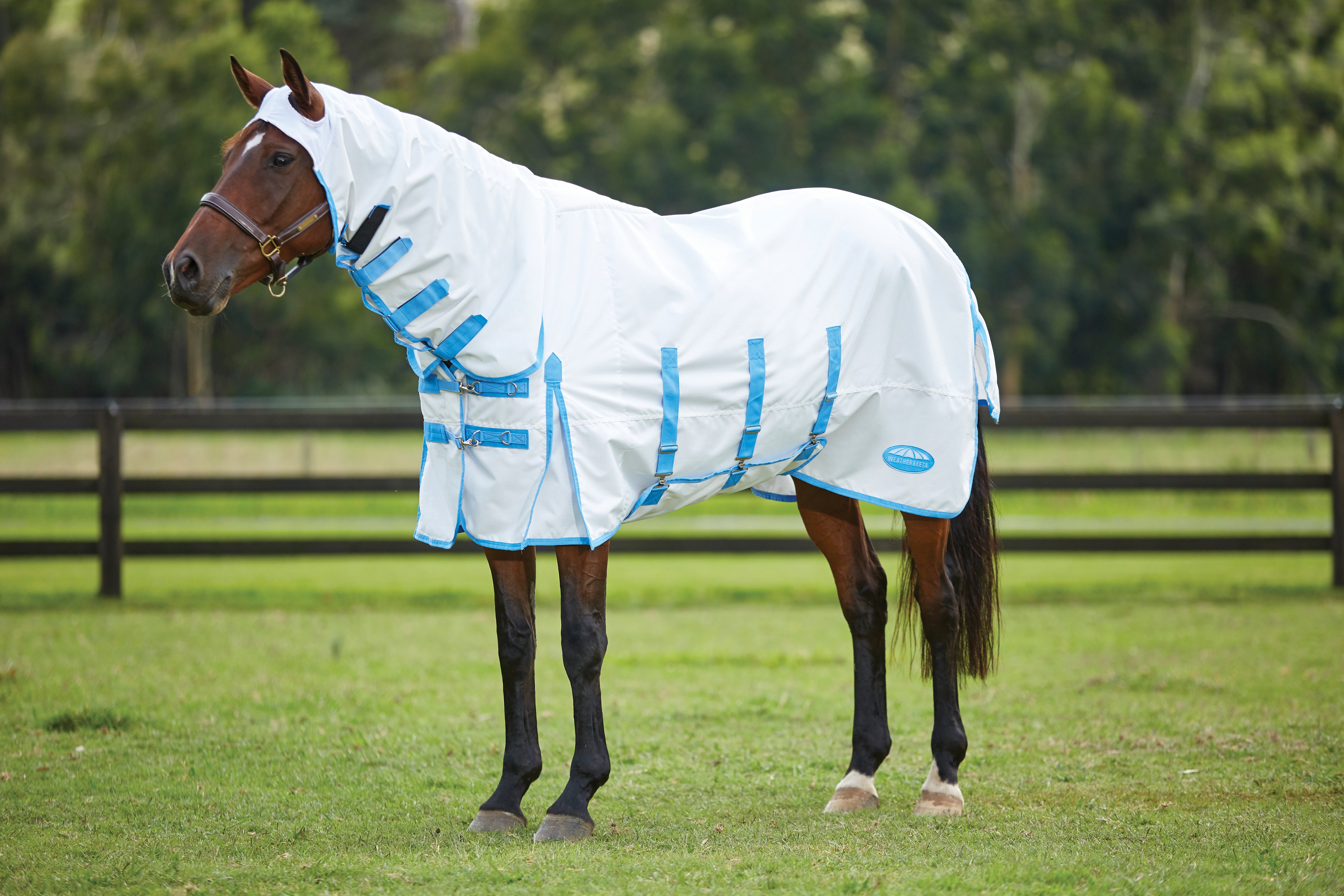 Weatherbeeta Comfitec Sweet Itch Shield Combo Neck