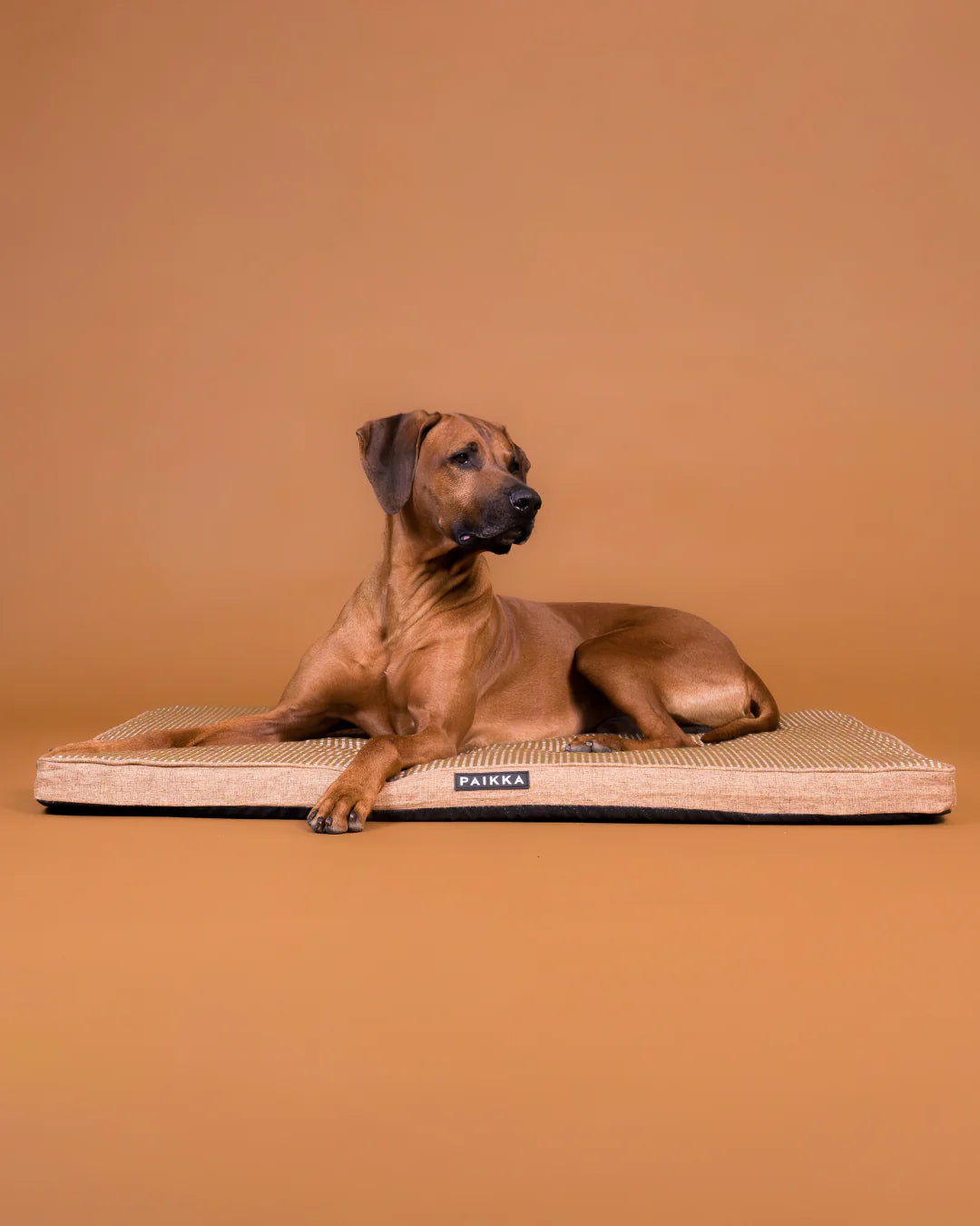 PAIKKA Cooling Orthopedic Mattress