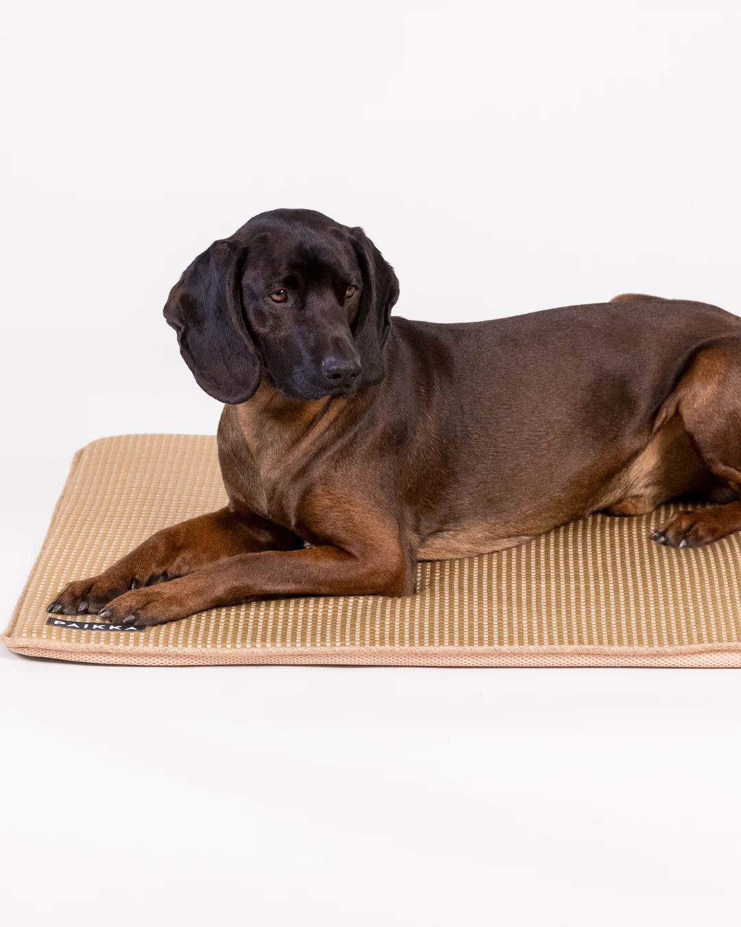 PAIKKA Cooling Blanket