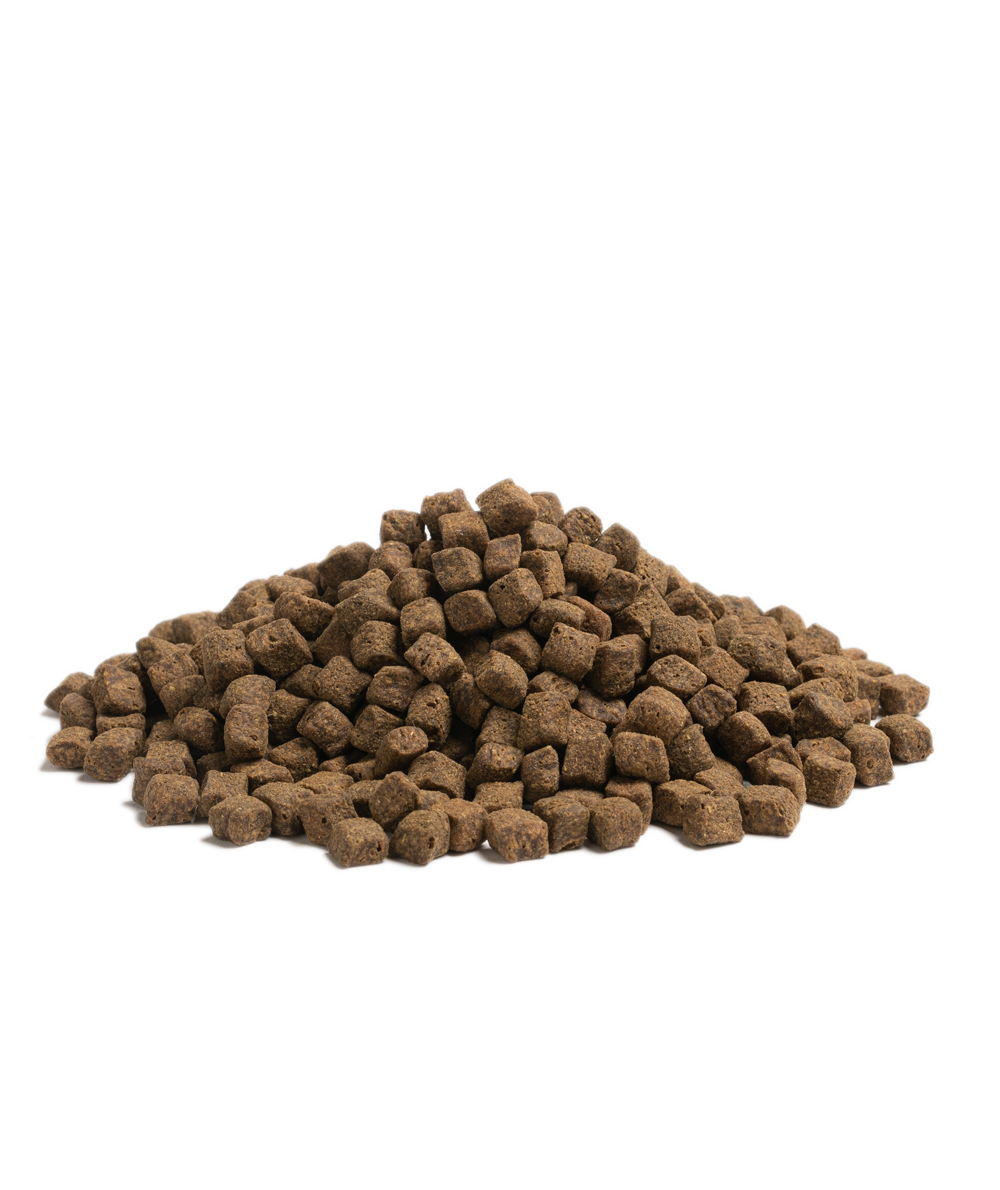 Essential Foods Older Small Breed