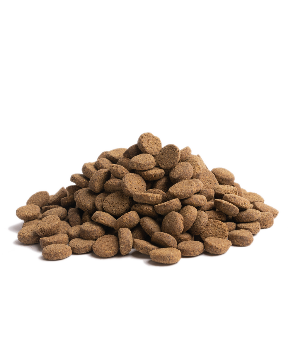 Essential Foods Older