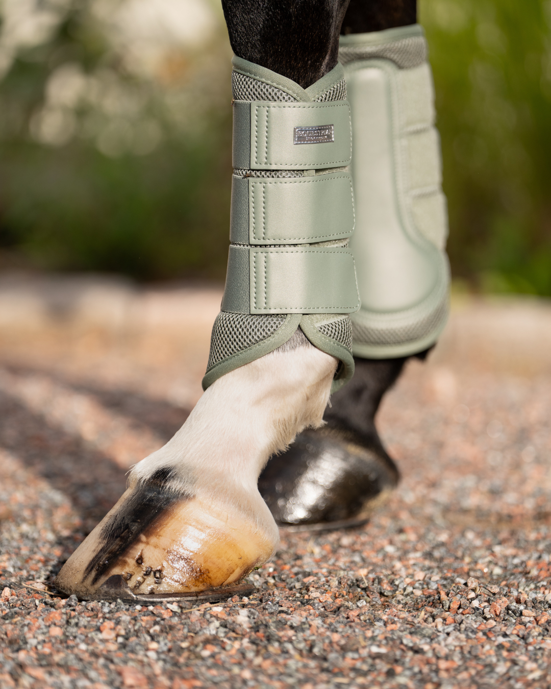 Equestrian Stockholm Classic Mesh Brushing Boots Pistachio White