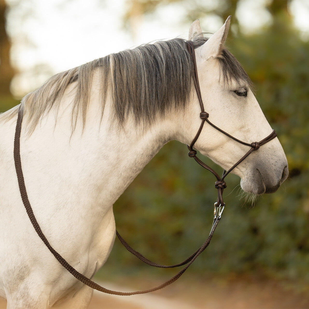 QHP Rope Halter Leather Liberta