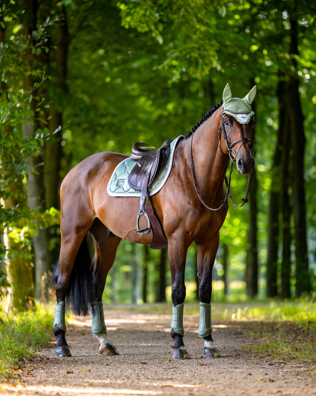 Equestrian Stockholm Pistachio White Springunderlag