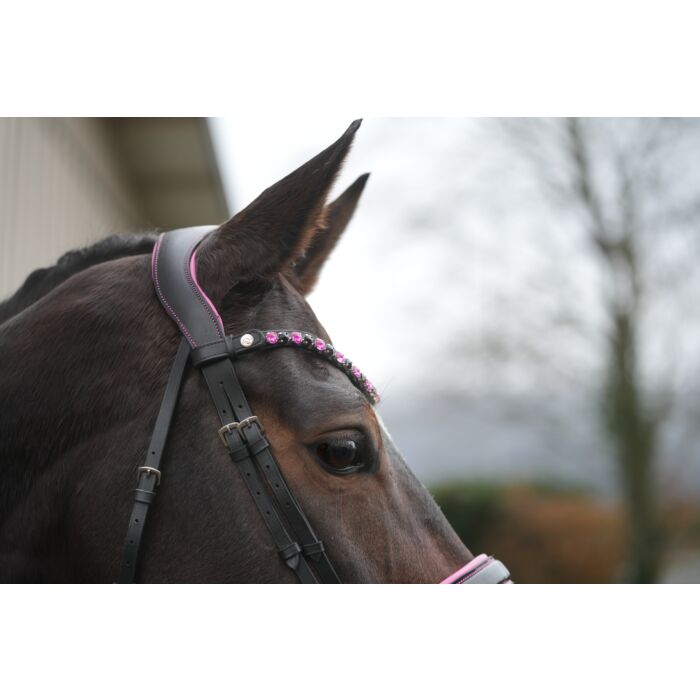 HKM Bridle Manchester