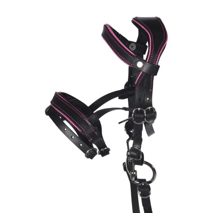 HKM Leather Bridle Manchester Hobby Horsing