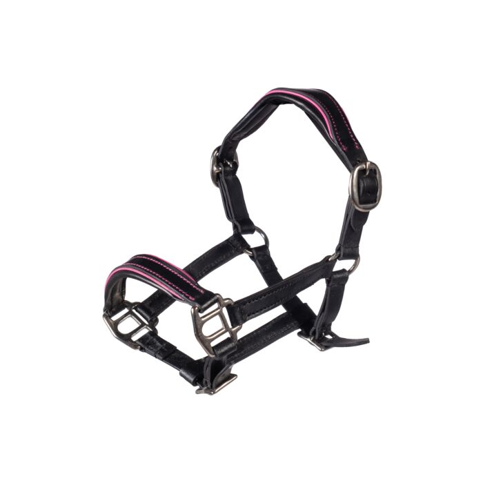HKM Leather Head Collar Manchester Hobby Horsing
