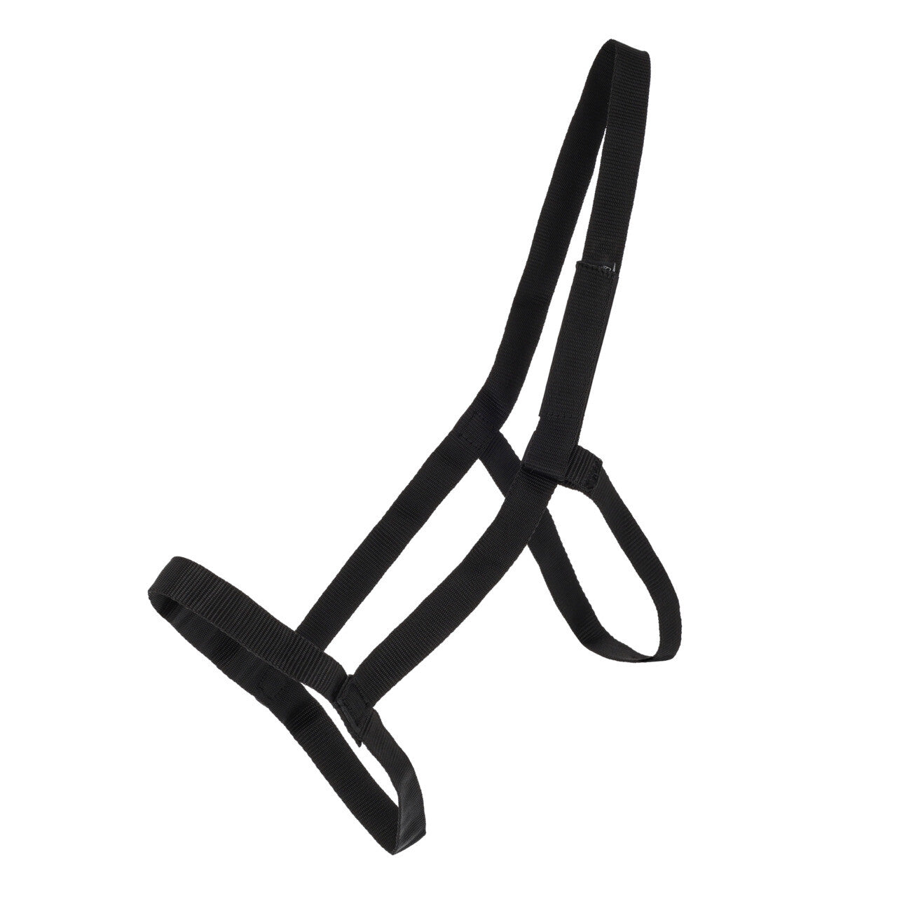 QHP Field Head Collar