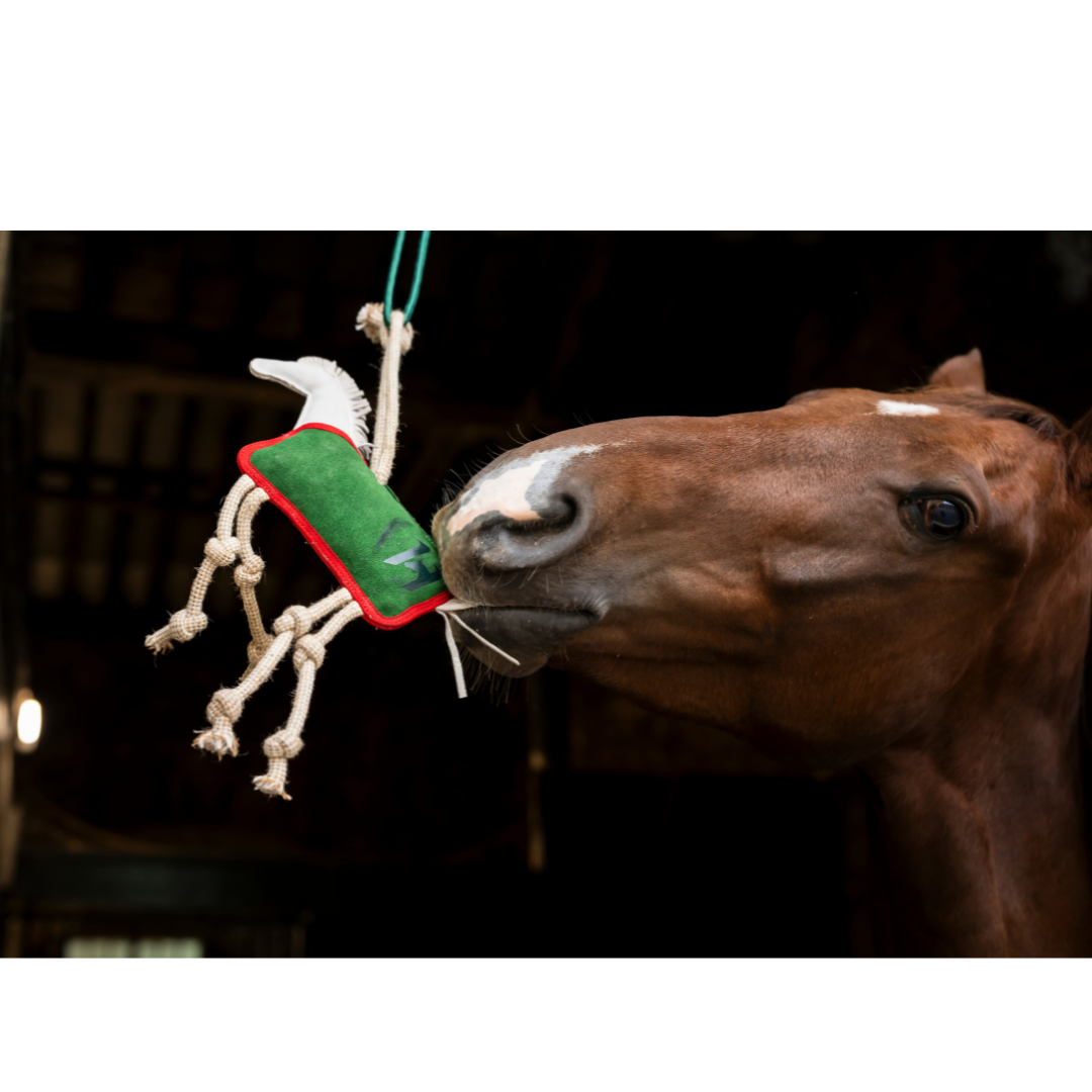 Horseware Stable Toy