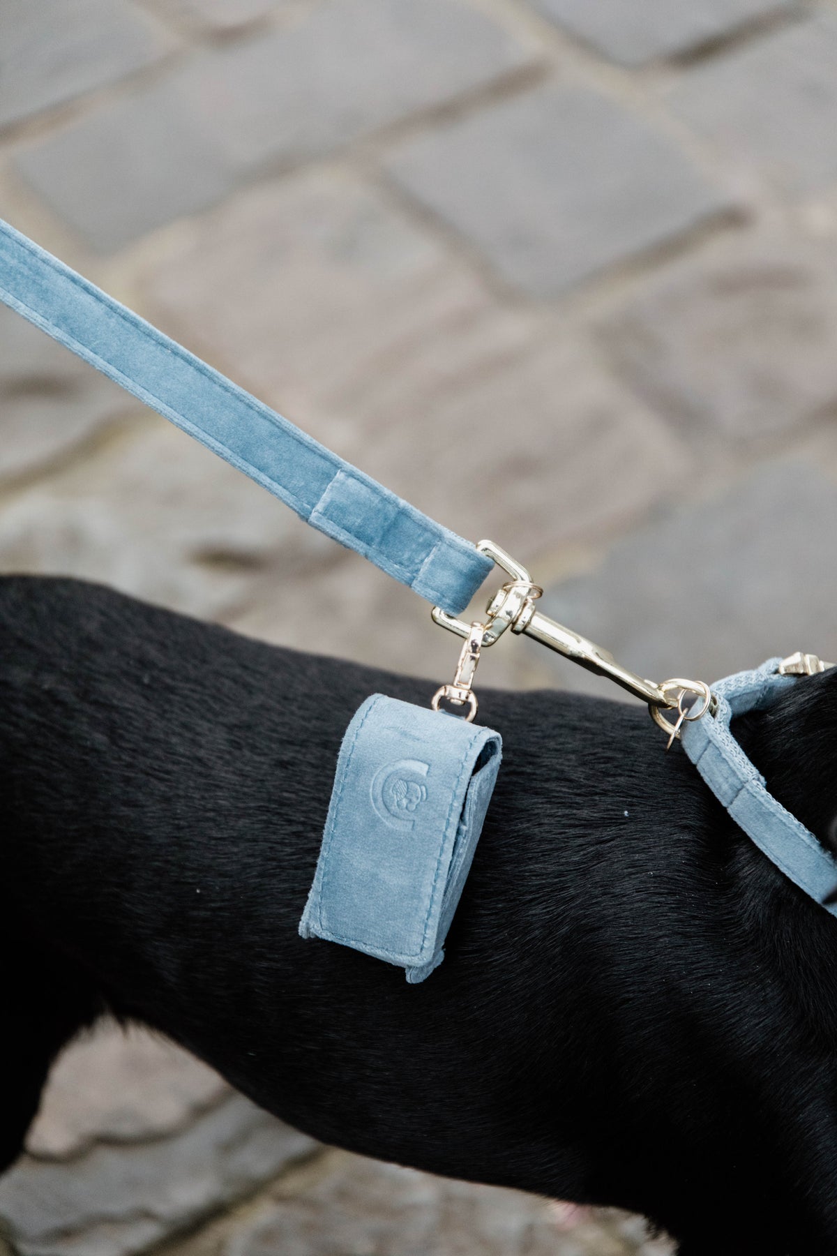 Kentucky Poop Bag Velvet