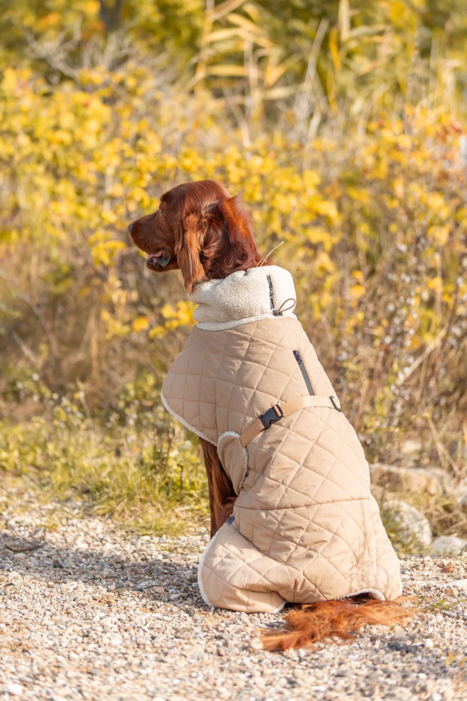 Trixie Minot Sherpa hundejakke