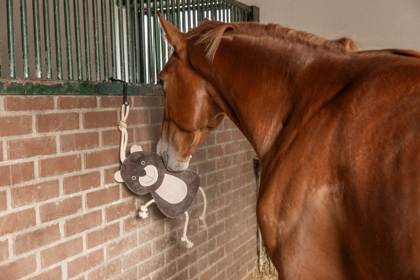 Kerbl Horse Toy Bear