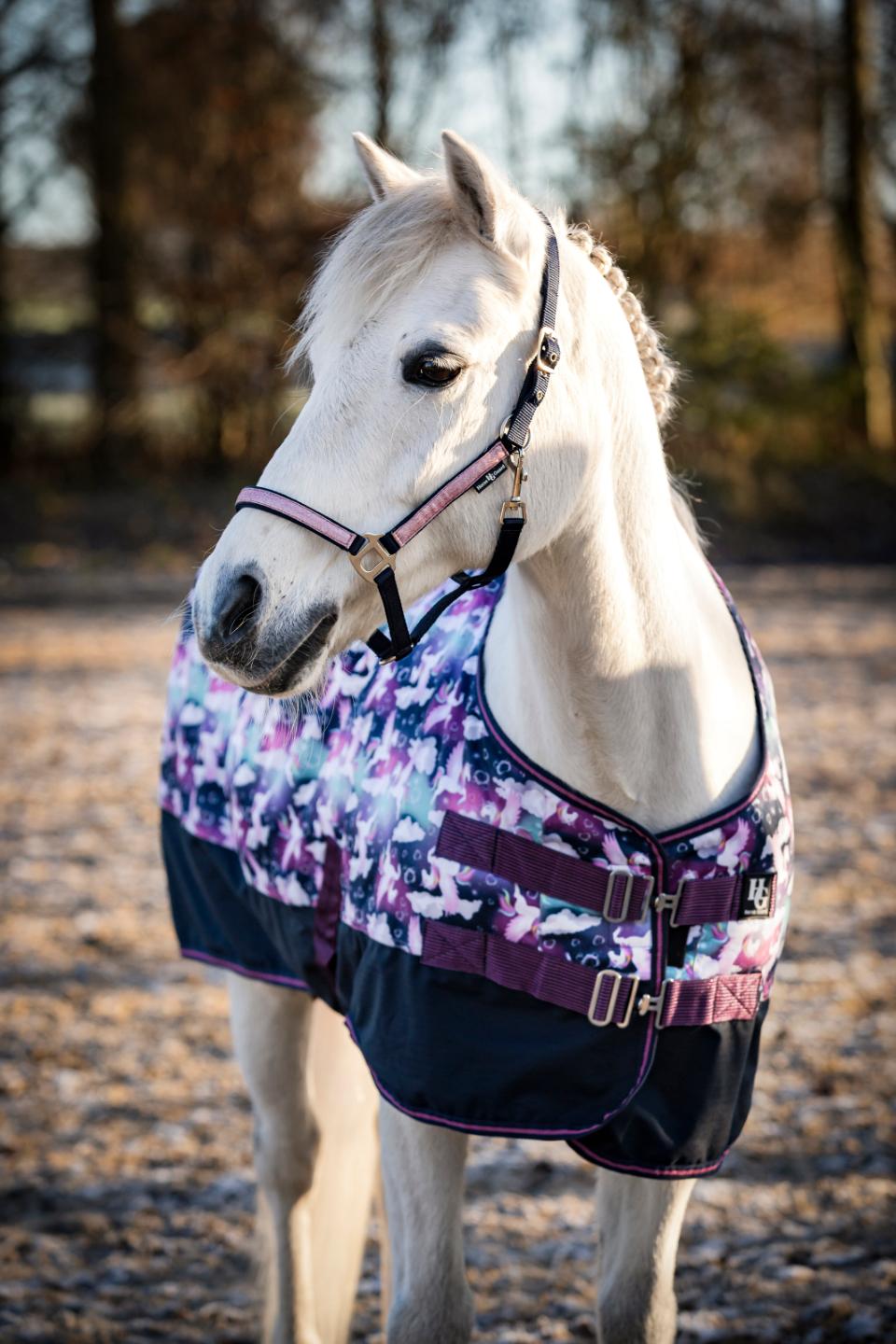 HorseGuard Josh Turnout Rug 100 g.