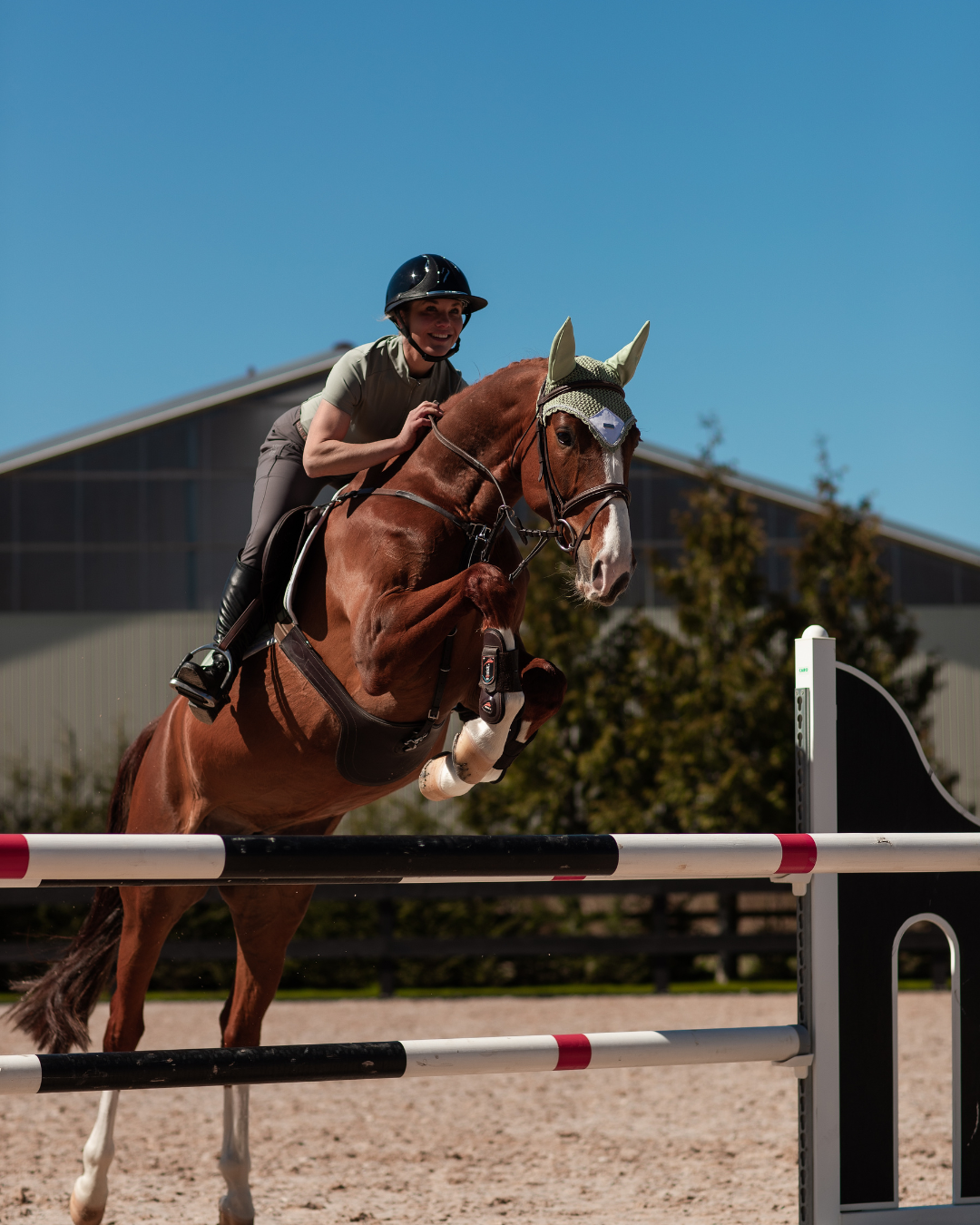 Equestrian Stockholm Hut Pistachio White