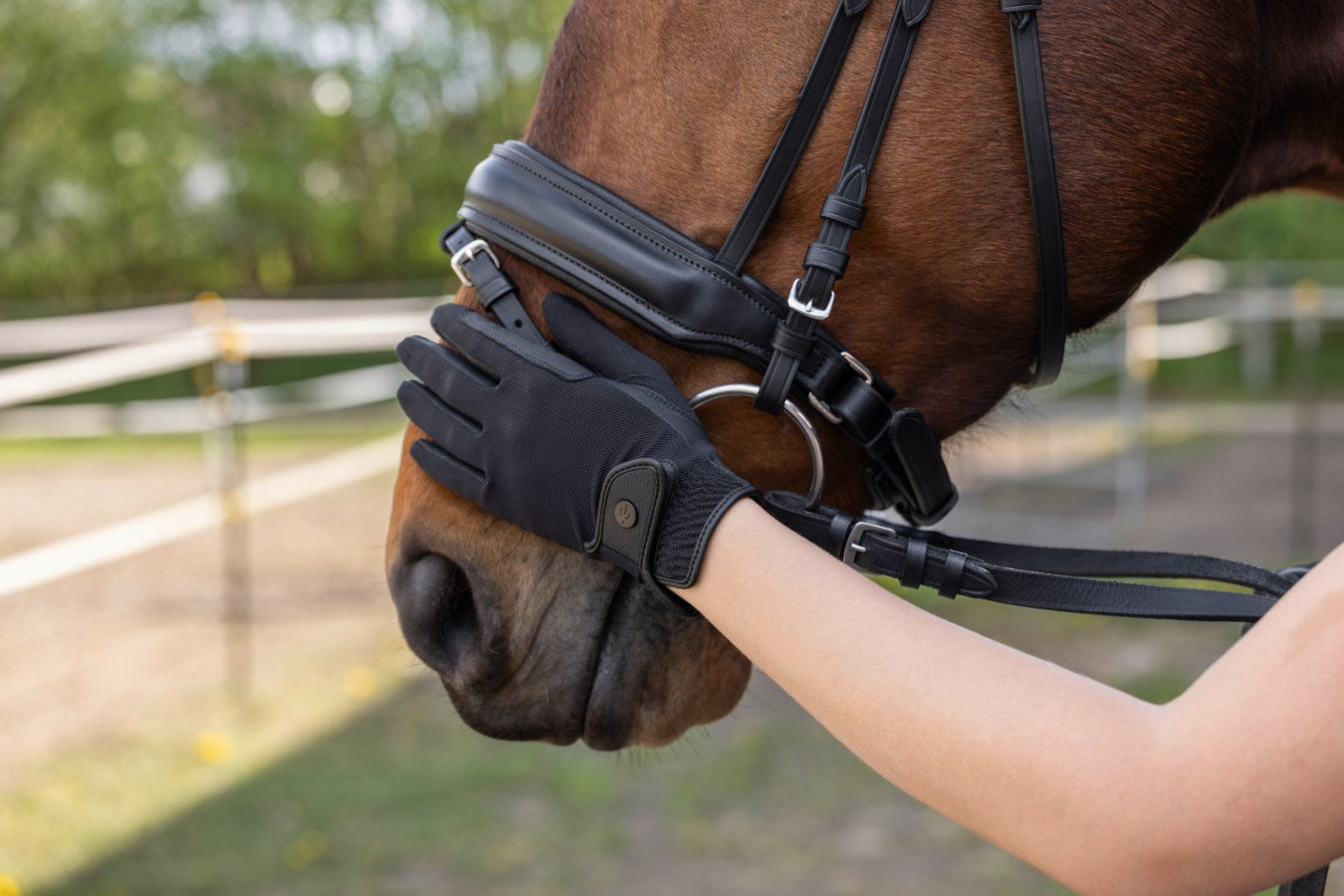 Covalliero Premium Riding Gloves