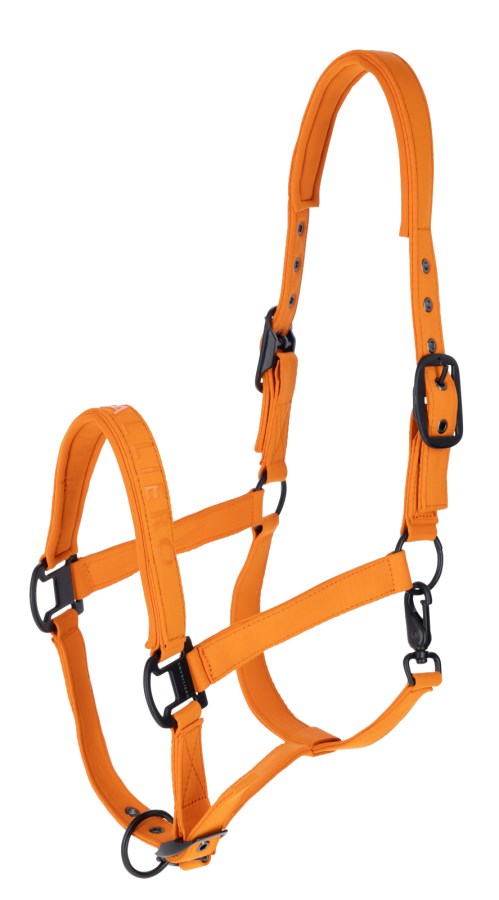 Covalliero Halter