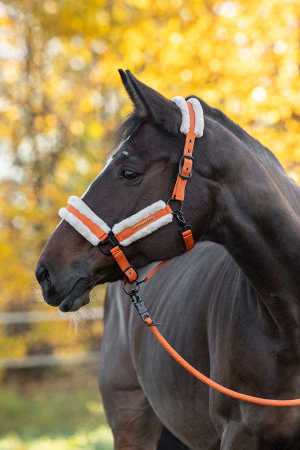 Covalliero Soft Halter
