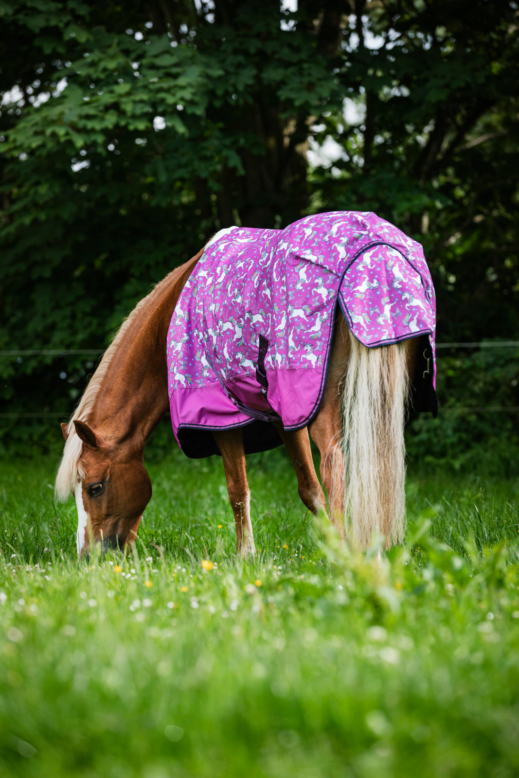 HorseGuard Josh Unicorn Turnout Rug 0 g.