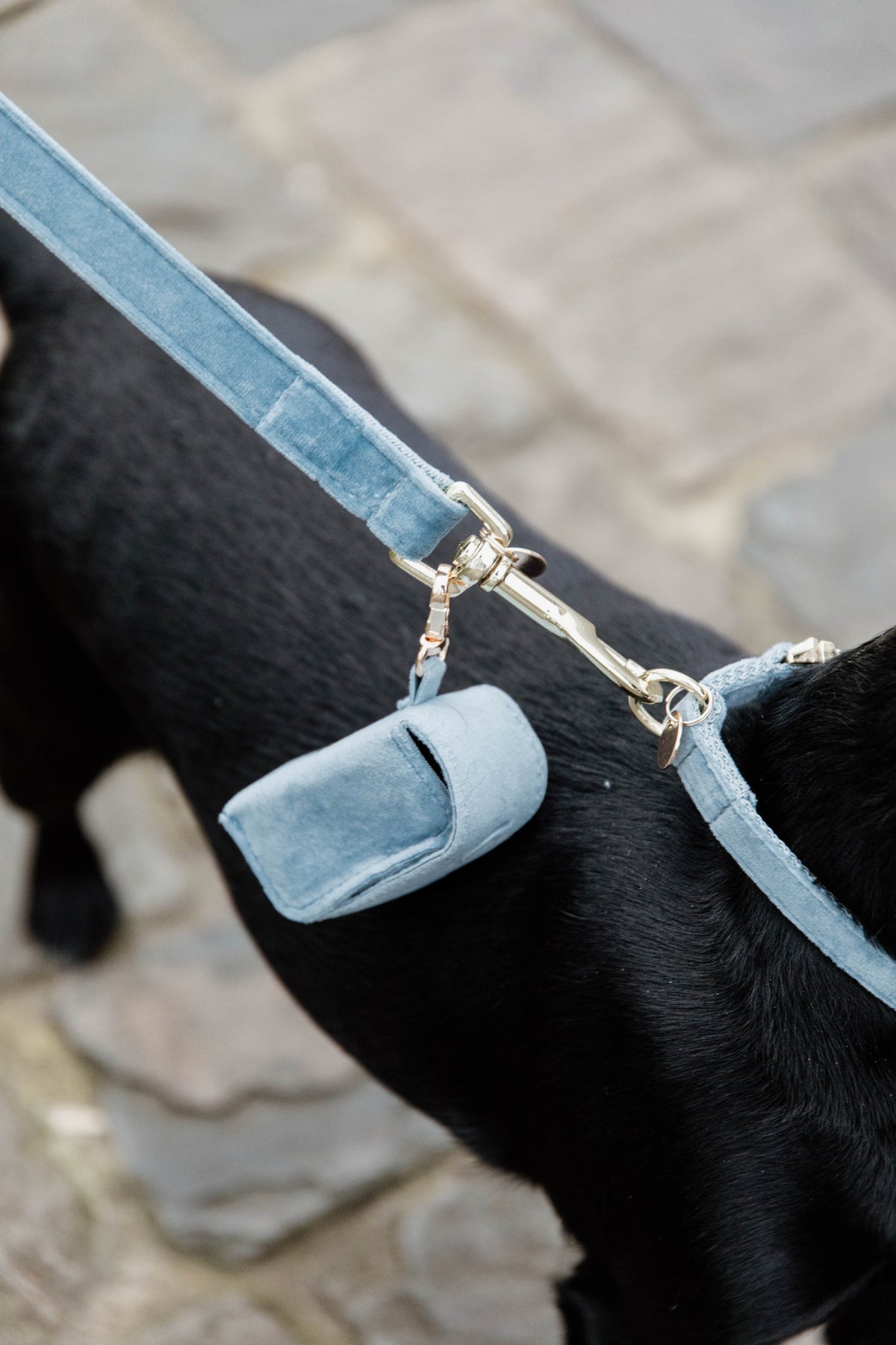 Kentucky Poop Bag Velvet
