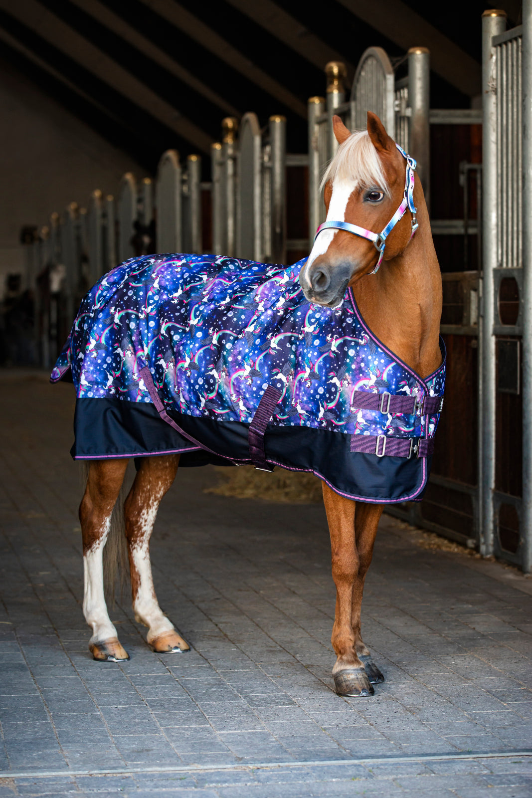 HorseGuard Josh Turnout Rug 100 g.