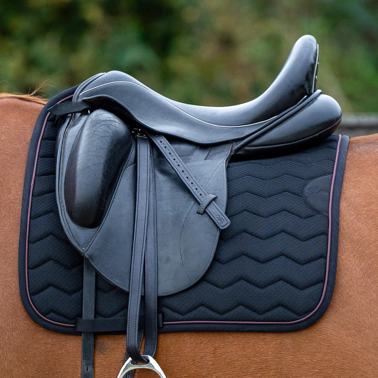 QHP Avenna Saddle Pad