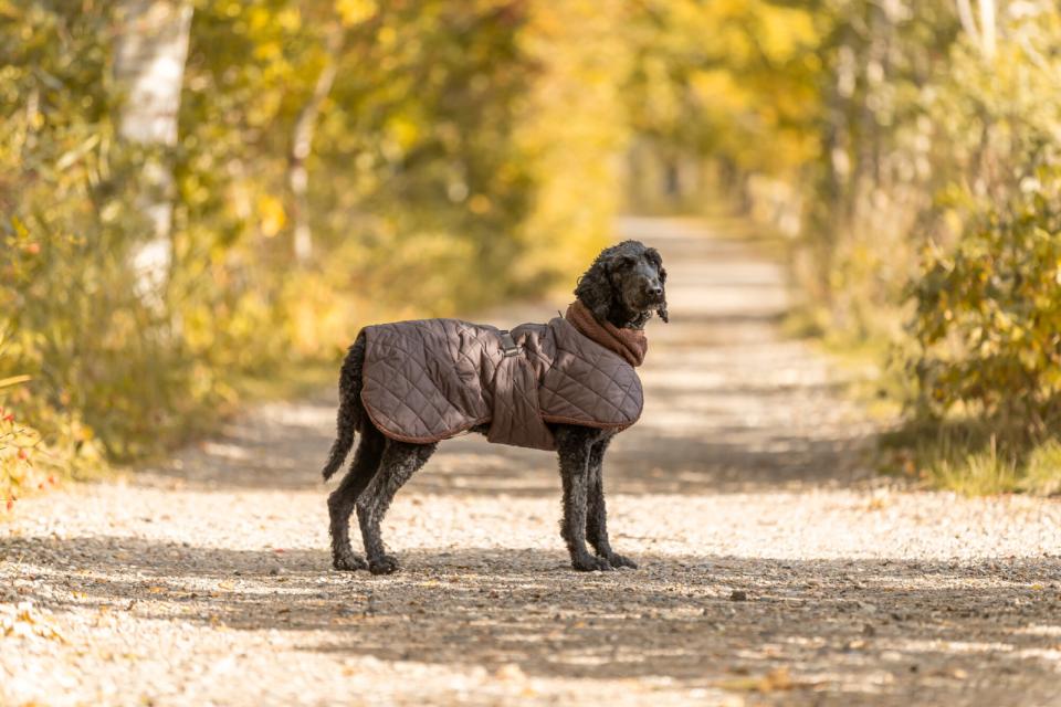 Trixie Minot Sherpa hundejakke