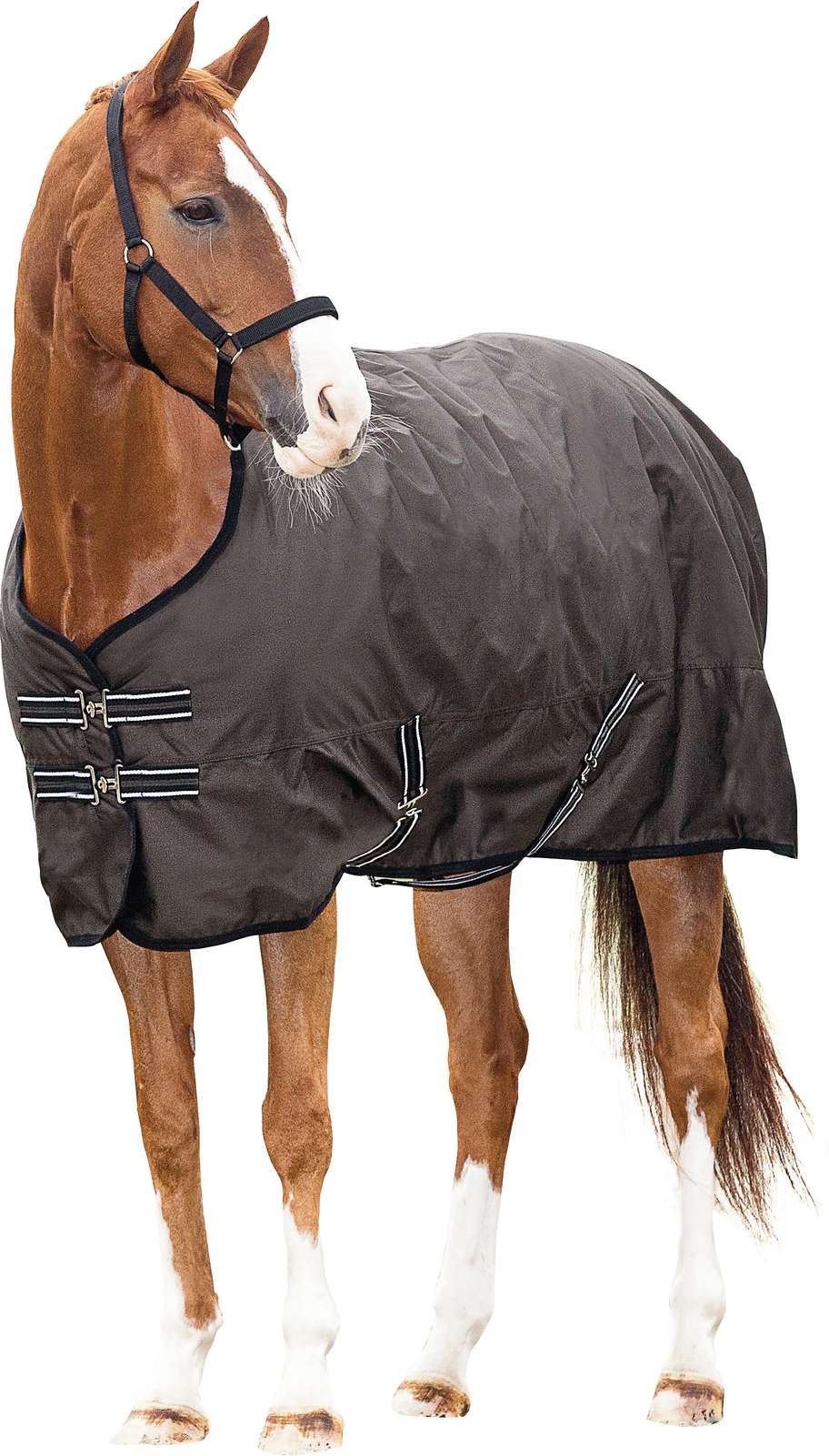 HorseGuard HG Turnout Dækken 0 g. - OUTLET