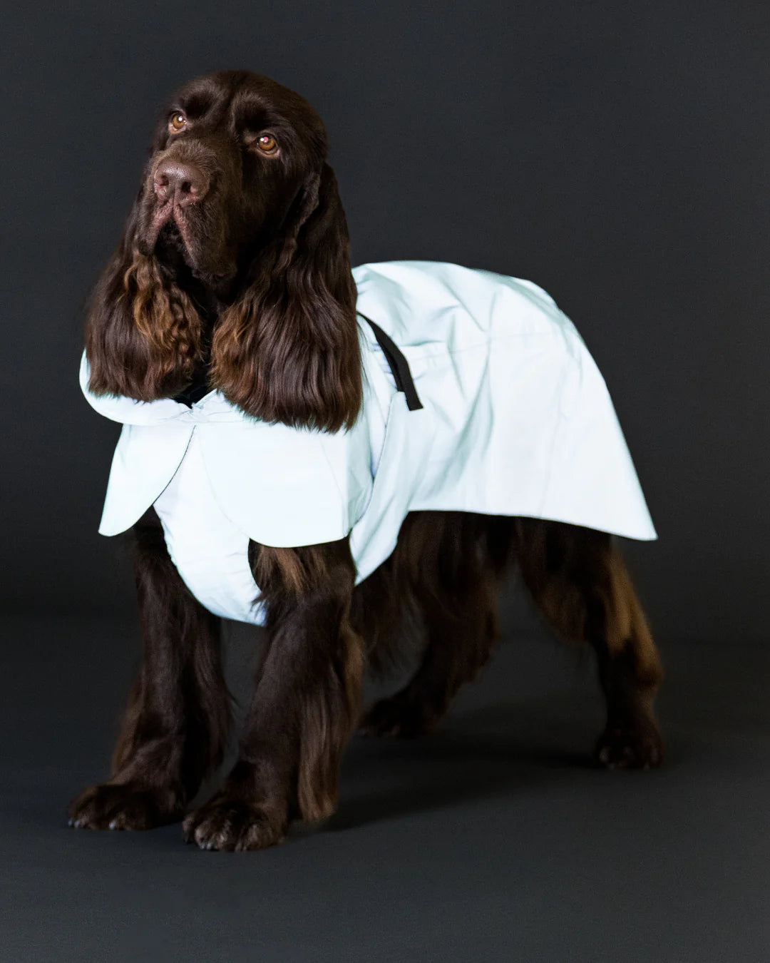 PAIKKA Visibility Raincoat