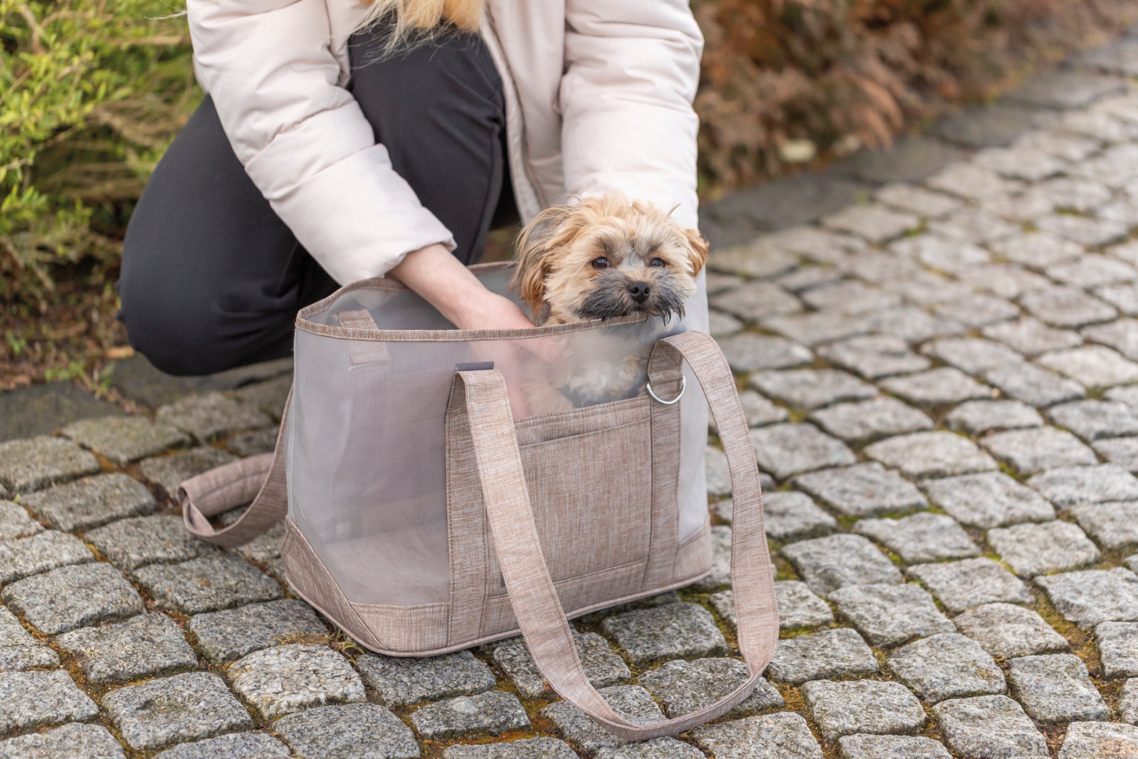 Trixie Mary Carrier