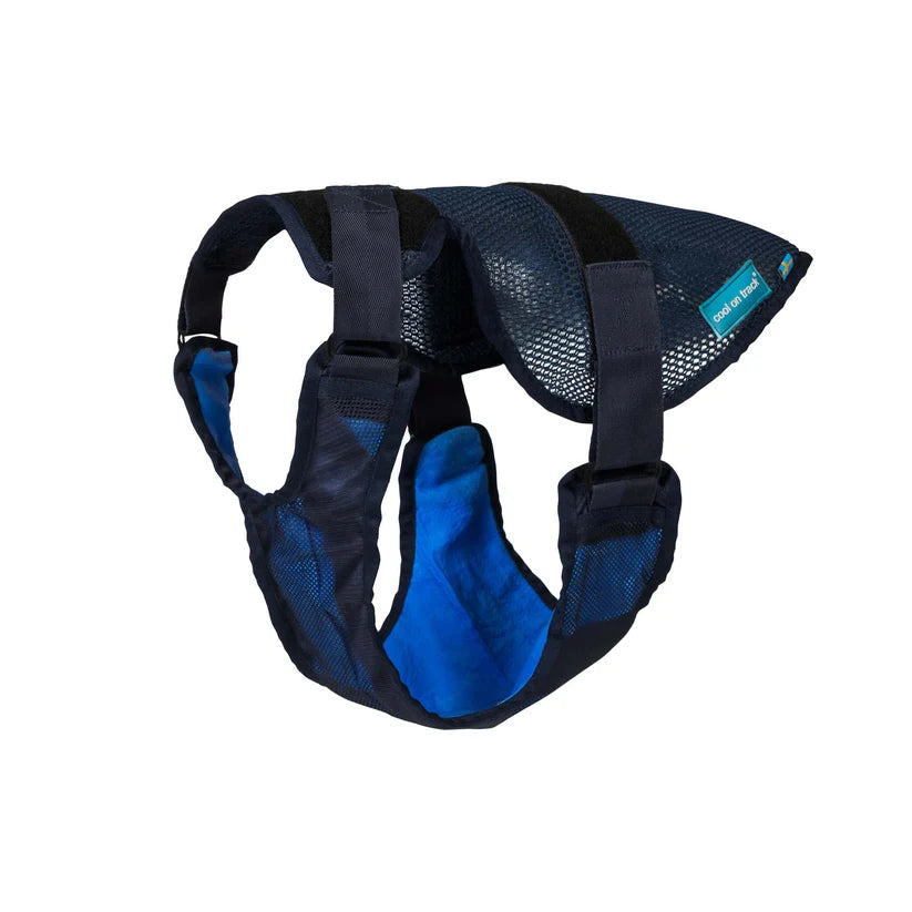 Back on Track Cooling Dog Harness
