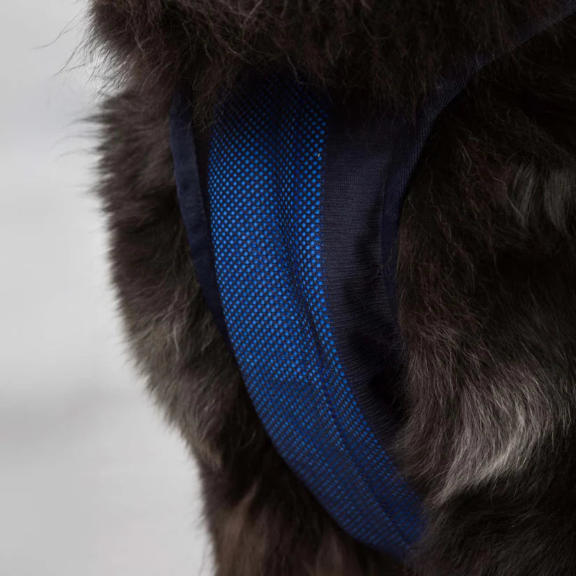 Back on Track Cooling Dog Harness
