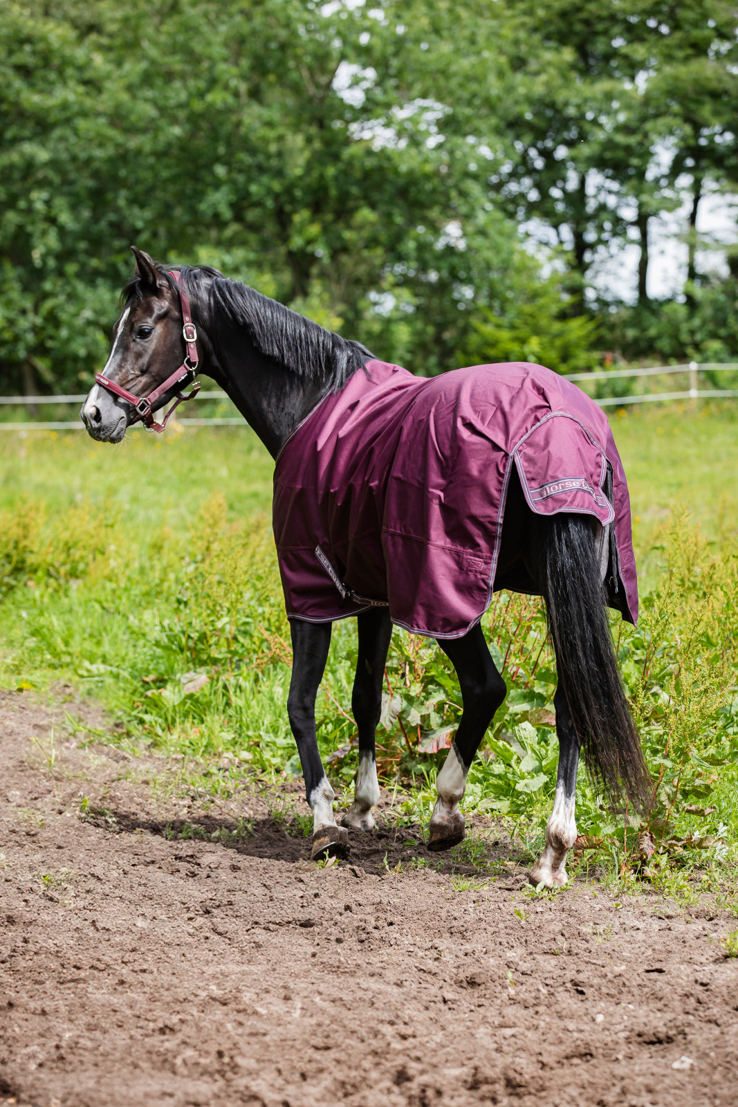 HorseGuard Landon Standard Neck 1200D Rug