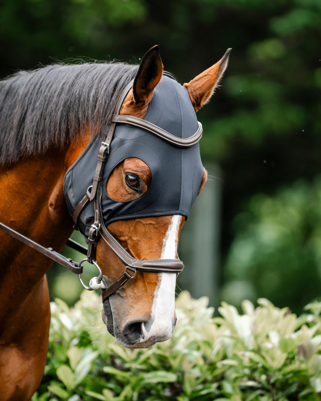 Horseware® Ionic Calming Face Mask