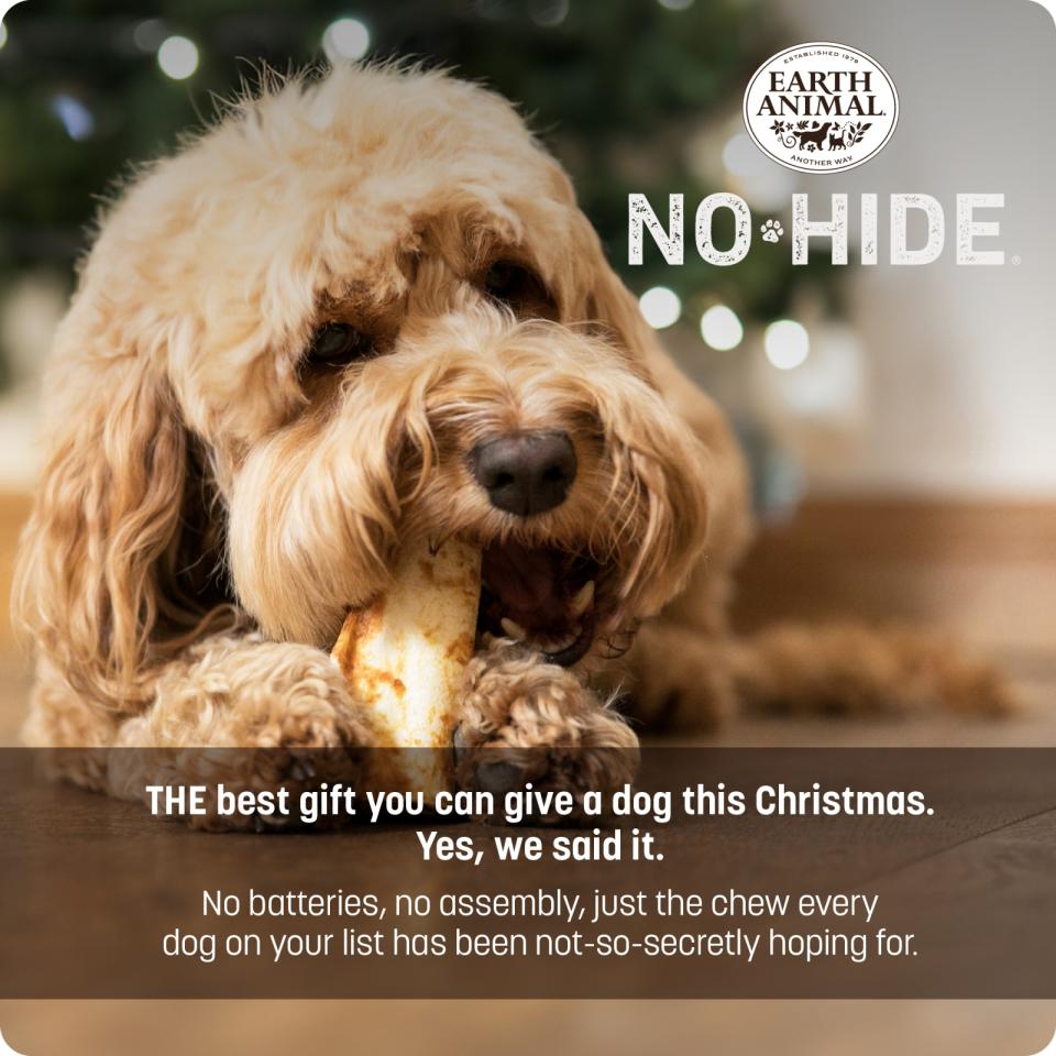 No-Hide Holiday Festive Feast Chews