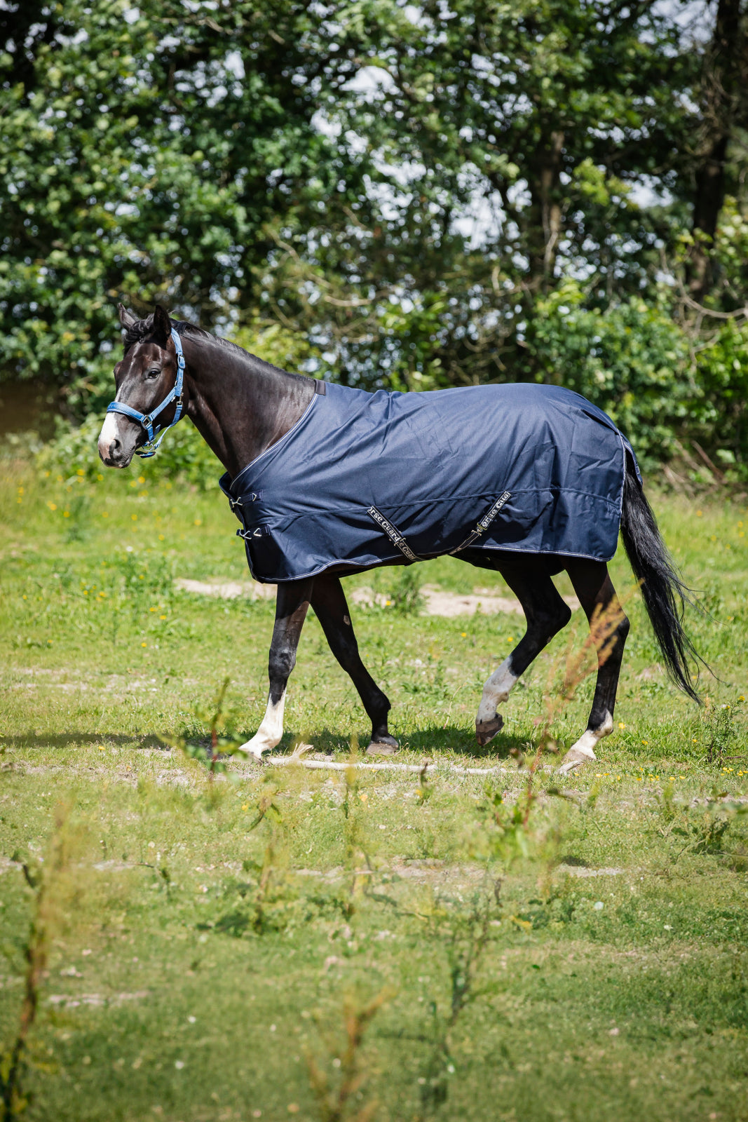 HorseGuard Landon 1200D Turnout Rug Standard Neck 200 g. - OUTLET