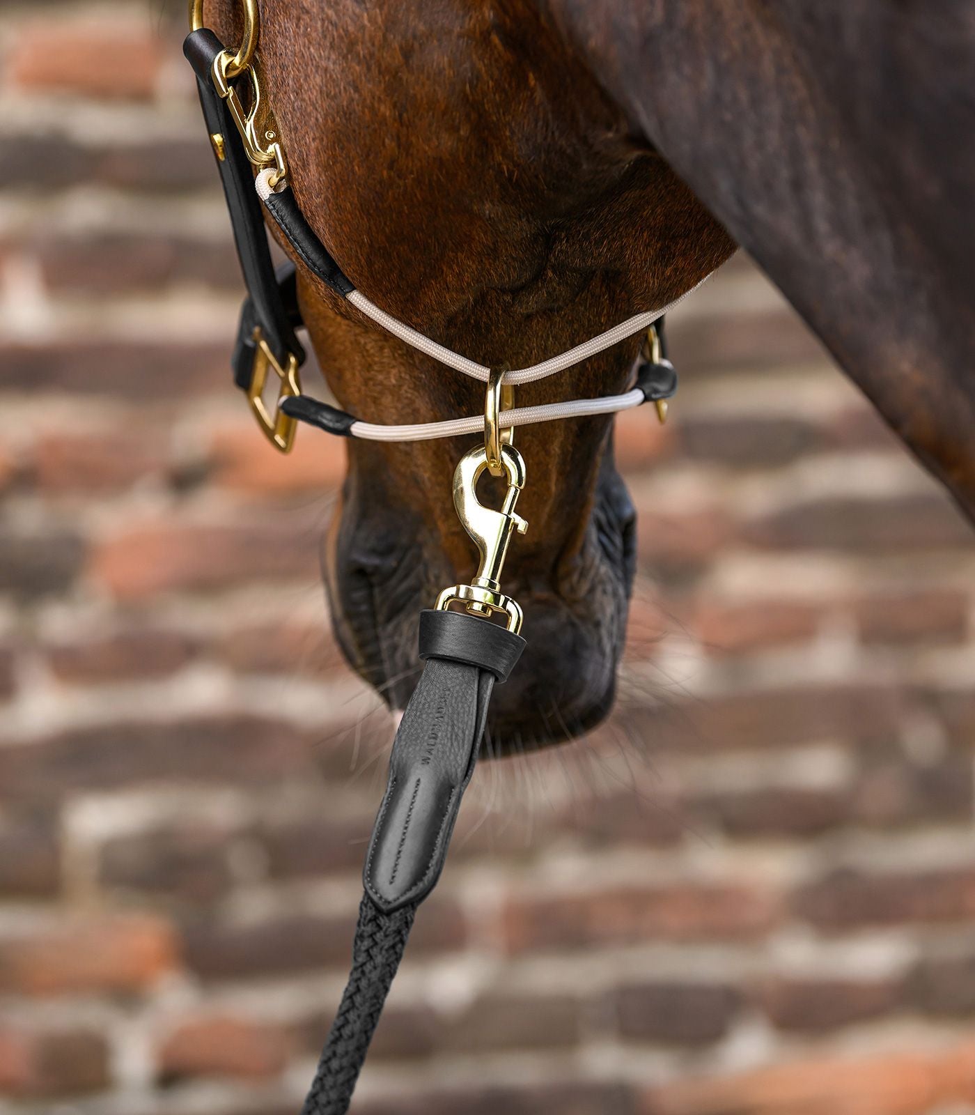Waldhausen Royal Lead Rope With Leather Details