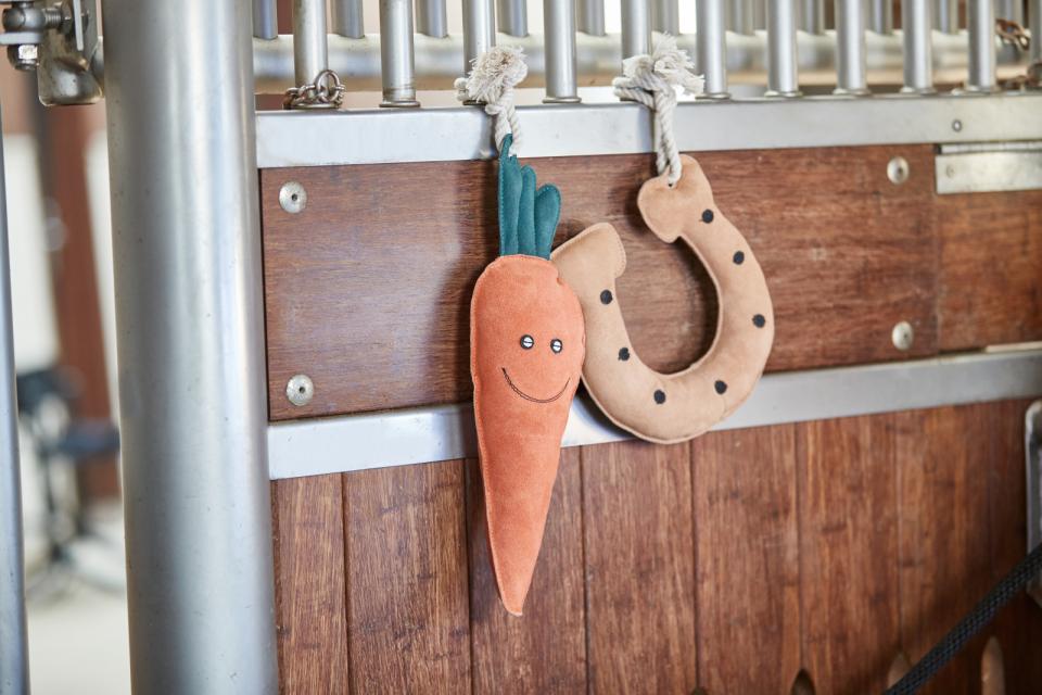 HorseGuard HG Carrot Stald Legetøj