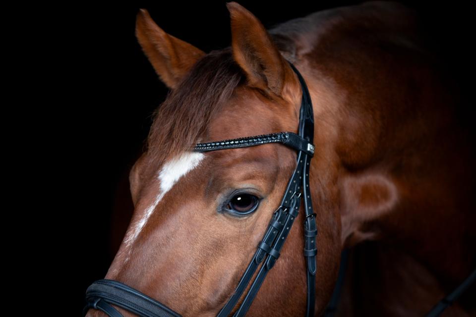 Horse Guard Emi 26.2-trense med kombineret næsebånd