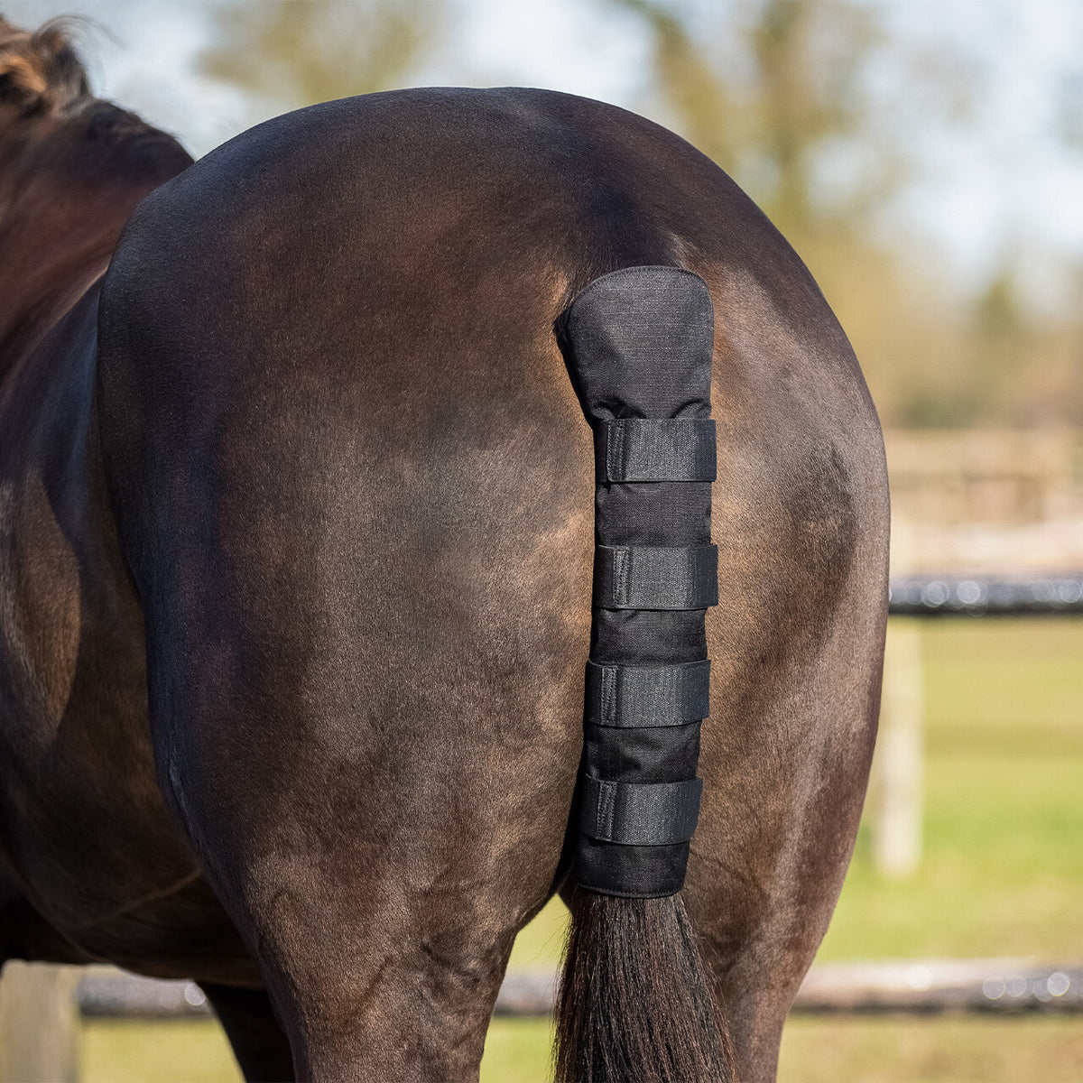 QHP Tailprotector Turnout