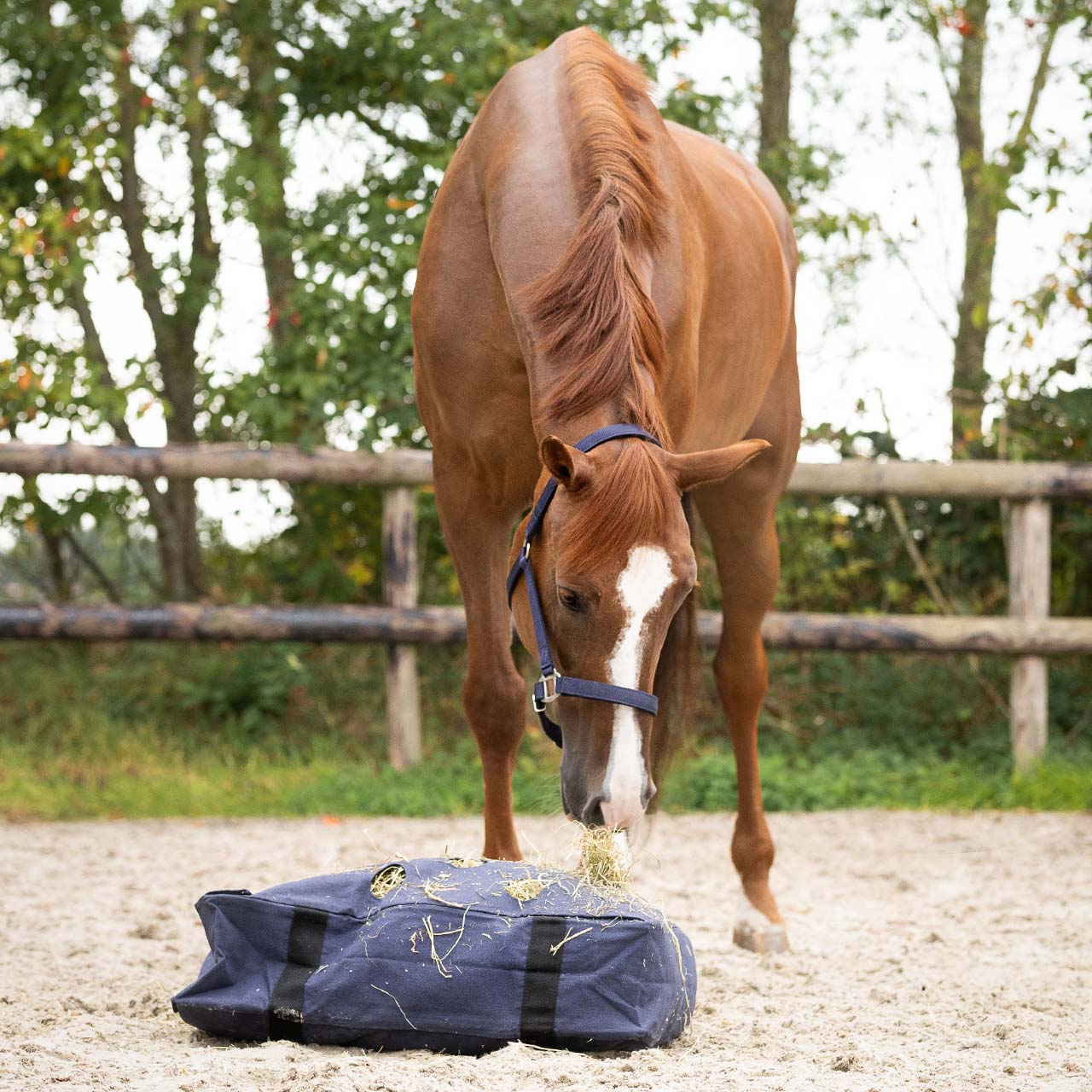 QHP Hay Cushion