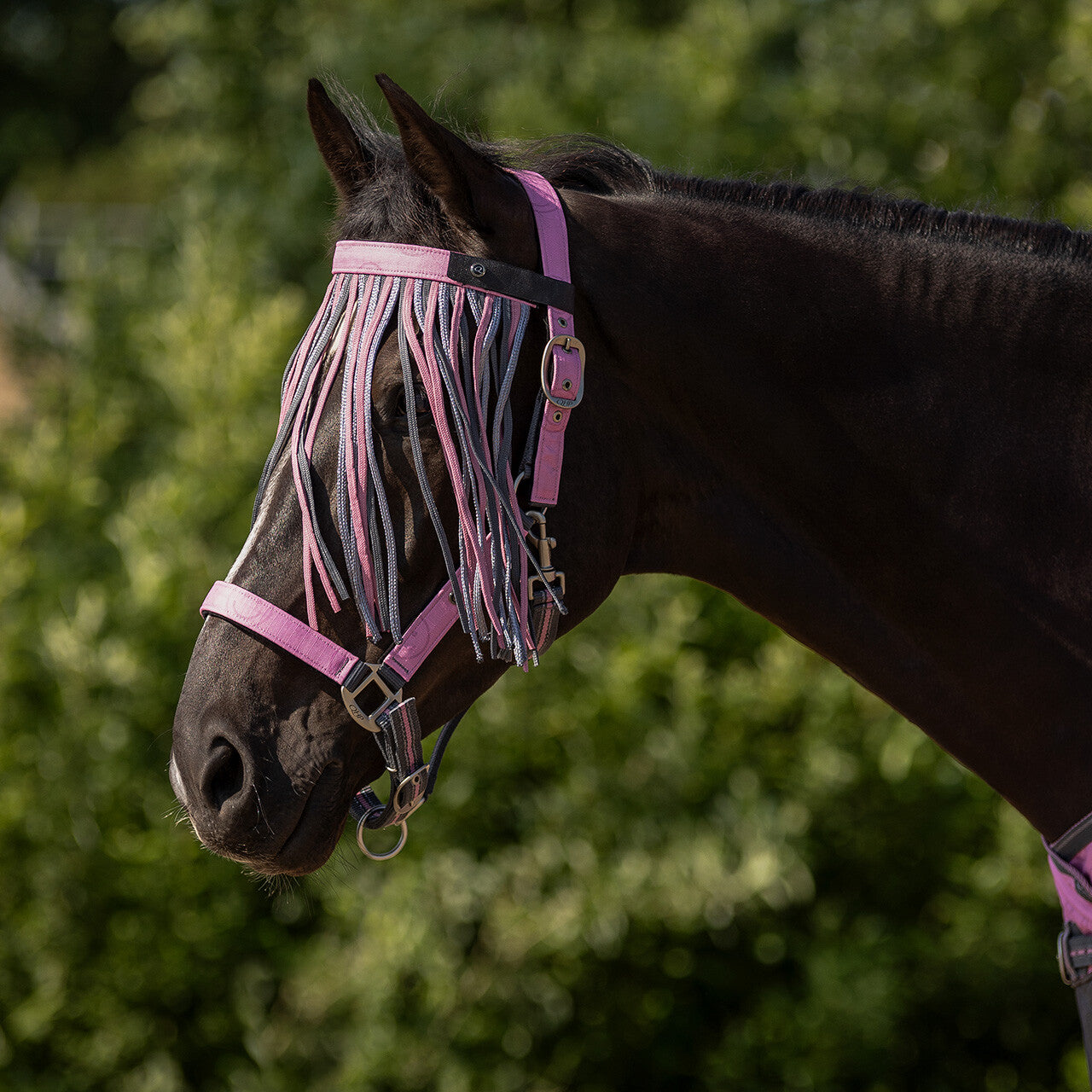 QHP Anti-fly Fringe