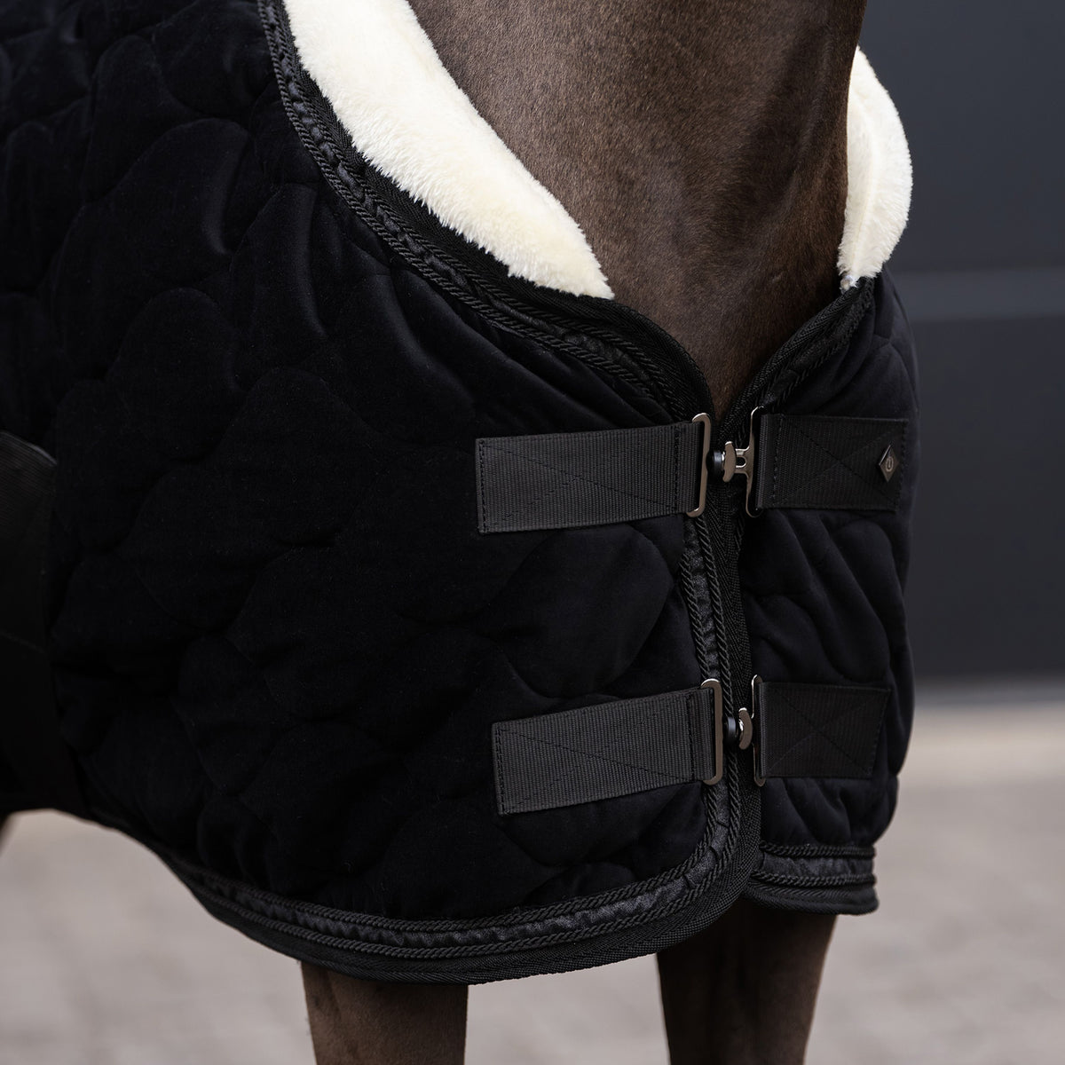 Imperial Riding IRHBandit Show Blanket