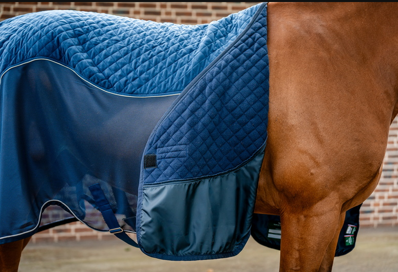 Horseware Signature Travel Cooler