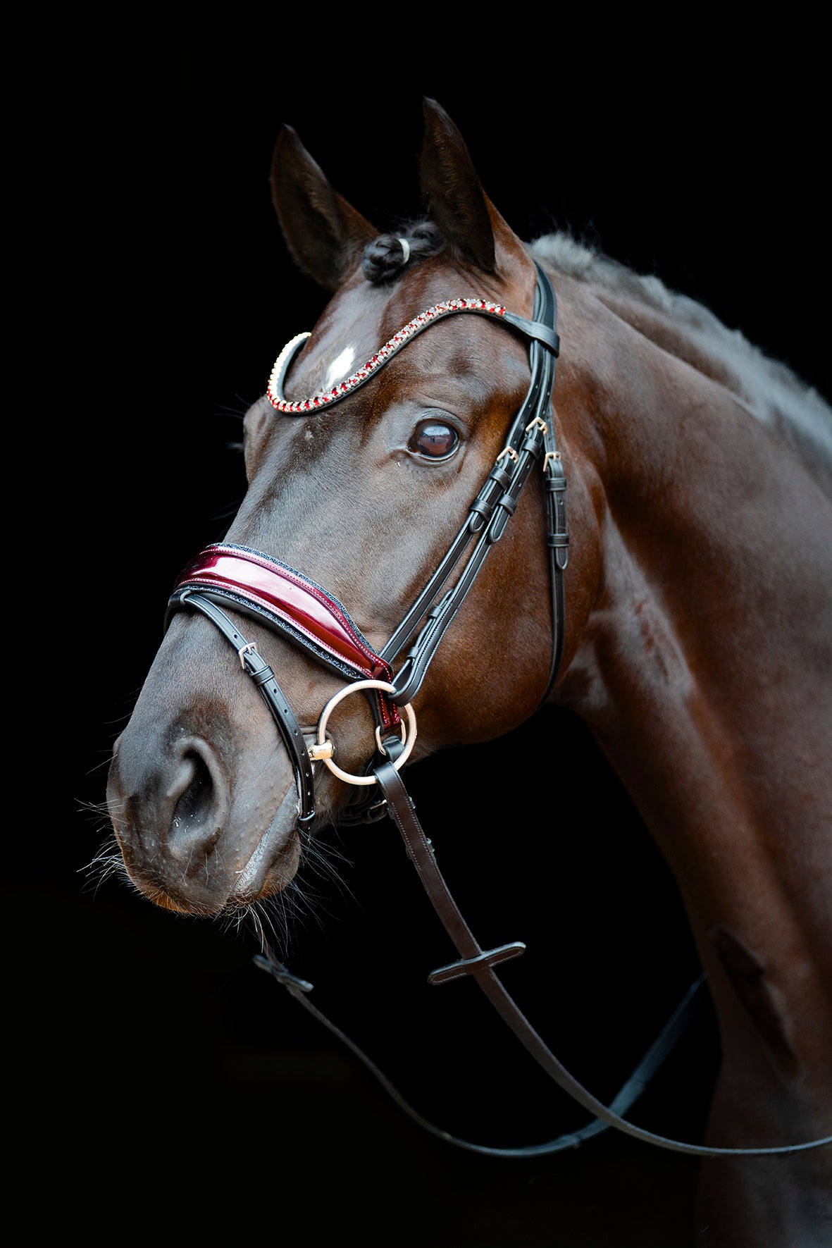 Schockemöhle SP Luxury Dressage