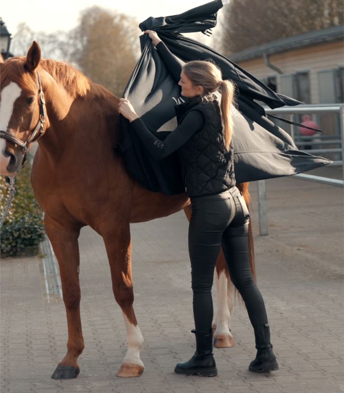Waldhausen W-Health + Care Ice Layer Rug