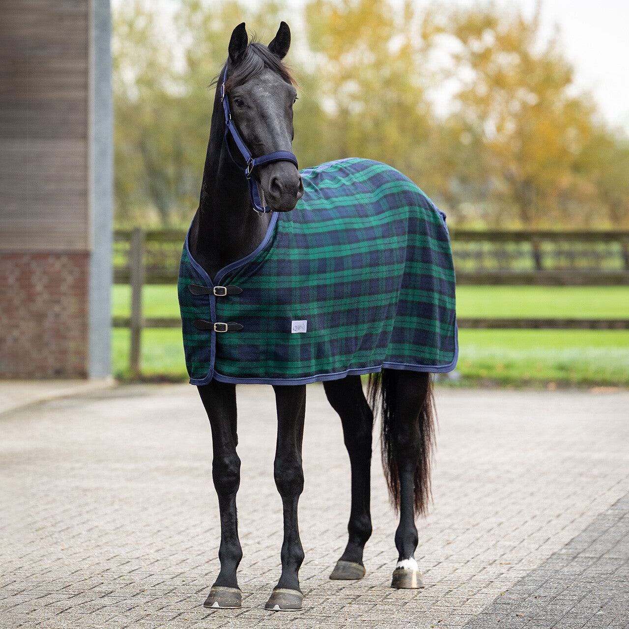 QHP Wool Rug Check